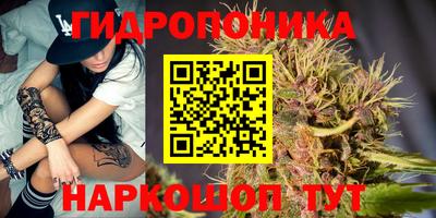 каннабис Аргун