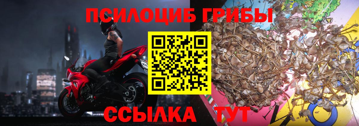 Марихуана  Экстази  Каннабис  A PVP СК кристаллы  Вход с VPN  Гашиш  ГАШИШ  Как найти закладки?  Батайск  МЕФ  
