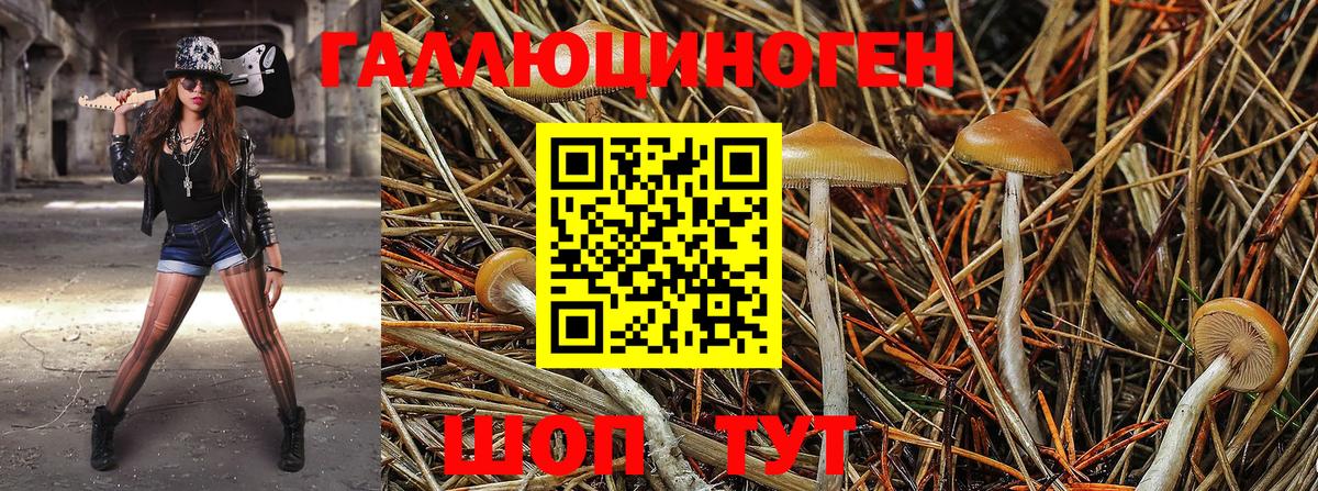 Батайск  Галлюциногенные грибы ЛСД  как найти наркотики  Галлюциногенные грибы Magic Shrooms  Вход с VPN 